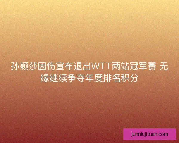 孙颖莎因伤宣布退出WTT两站冠军赛 无缘继续争夺年度排名积分 孙颖莎因伤宣布退出WTT两站冠军赛 无缘继续争夺年度排名积分