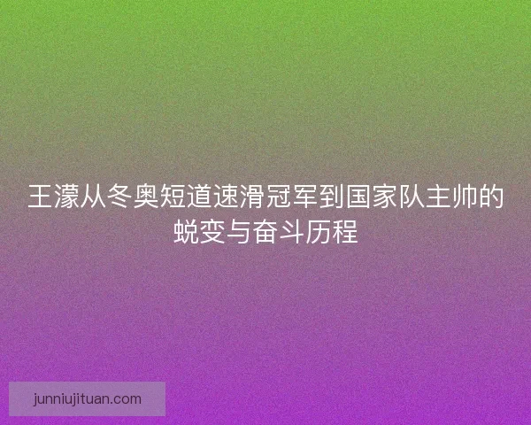 王濛从冬奥短道速滑冠军到国家队主帅的蜕变与奋斗历程 王濛从冬奥短道速滑冠军到国家队主帅的蜕变与奋斗历程